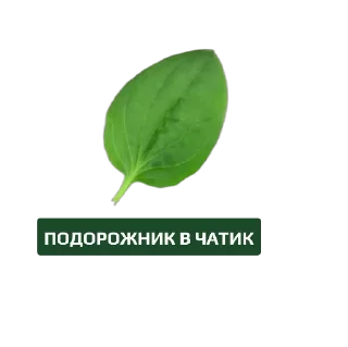 Стикер Лечим чат вместе - 1