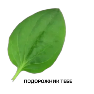 Стикер Лечим чат вместе - 7