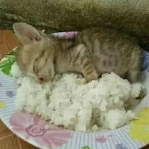 Больше стикеров 👉🏻 @stickertg4 - 