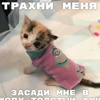 Стикер Больше стикеров 👉🏻 @stickertg4 - 7