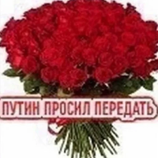 Больше стикеров: @sticerru - 