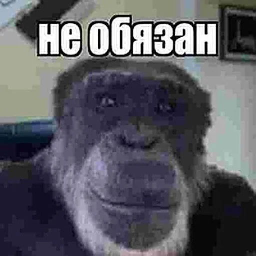 Sticker dDAGhhfRzrhdan_by_stickers_stealer_bot - 1