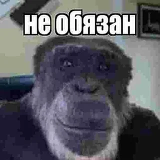 Sticker Больше стикеров: @sticerru - 5