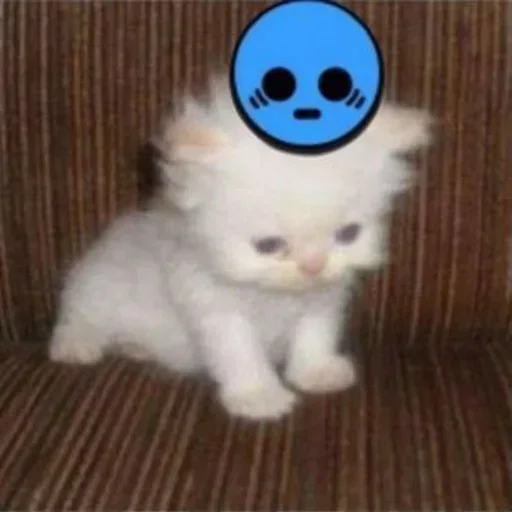 Sticker dFJANWd_by_achestickbot - 1