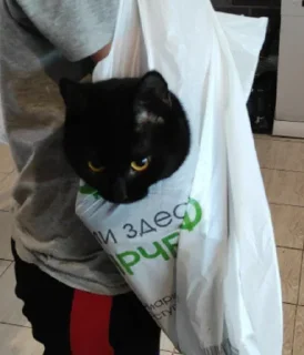 Стикер Больше стиков тут: @stikery4 - 7