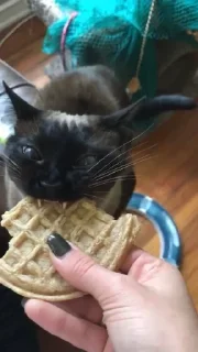 Стикер Больше стиков тут: @stikery4 - 3