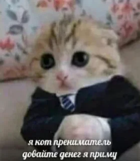 Стикер Больше стиков тут: @stikery4 - 6