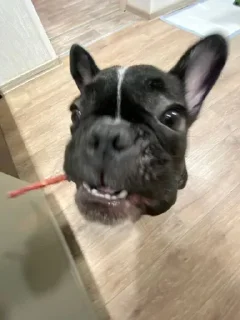 Стикер Больше стиков тут: @stikery4 - 11