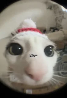 Стикер Больше стиков тут: @stikery4 - 1