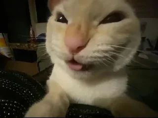 Стикер Больше стиков тут: @stikery4 - 10