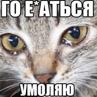 Стикер Больше стиков тут: @stikery4 - 2