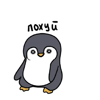 Стикер ПИНГВИН ЖОРА 🐧 - 3