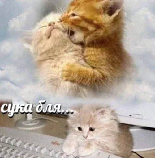 Больше стикеров 👉🏻 @stickertg4 - 