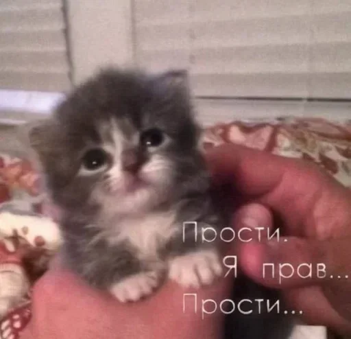 Sticker dJrEYENfNJ_by_stickers_stealer_bot - 1