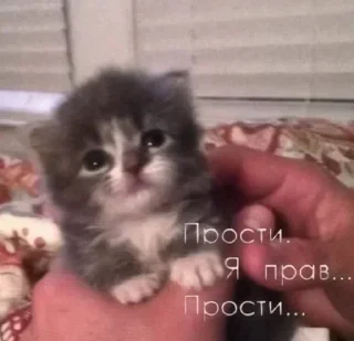 Sticker Больше стикеров 👉🏻 @stickertg4 - 11