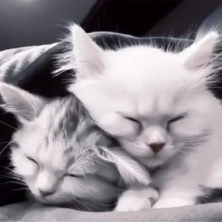 Стикер 💕Стики тут: @sekstick - 7