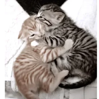 Стикер 💕Стики тут: @sekstick - 1