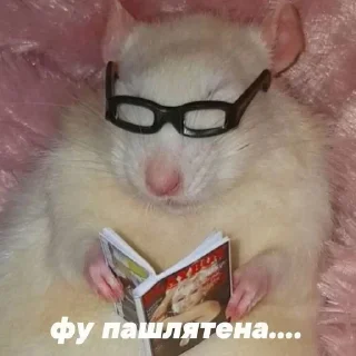 Sticker Создано в @sozdsti_bot - 10