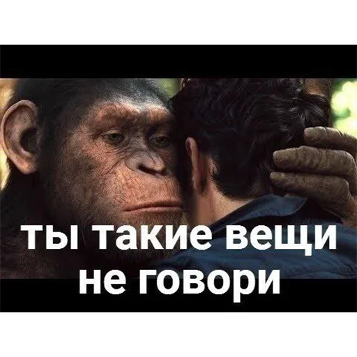 Sticker dNQKhIcySEHrtCXkS_by_stickers_stealer_bot - 1