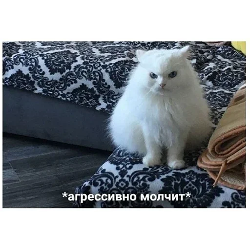 Sticker dNQKhIcySEHrtCXkS_by_stickers_stealer_bot - 1