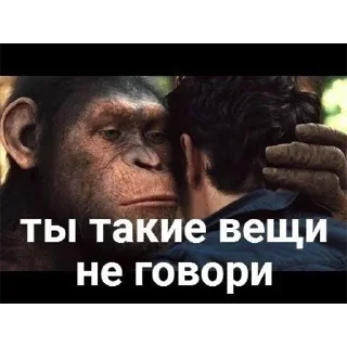 Sticker Больше стикеров: @sticerru - 9