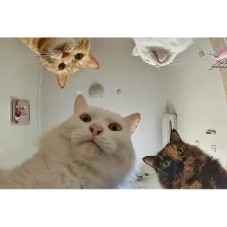 Sticker Больше стикеров: @sticerru - 6