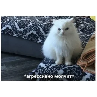 Sticker Больше стикеров: @sticerru - 2