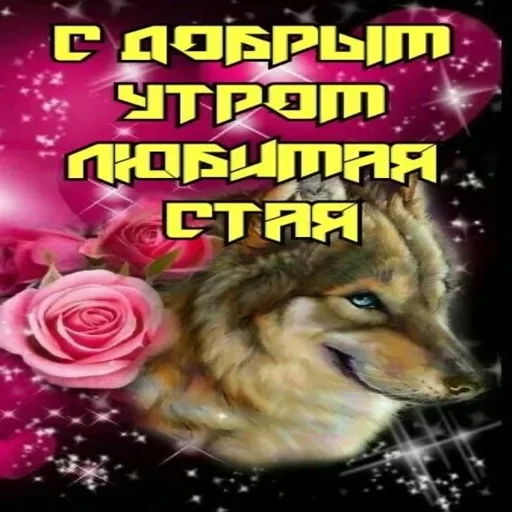 Стикер dRAfcRz_by_achestickbot - 1