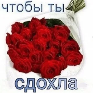 Стикер Больше стиков тут: @stikery4 - 10