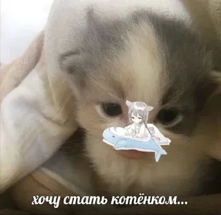 Стикер Больше стикеров 👉🏻 @stickertg4 - 11