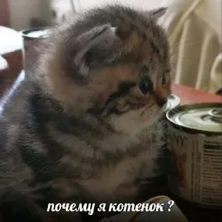 Стикер Больше стикеров 👉🏻 @stickertg4 - 0