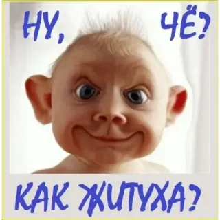 Sticker dVC_lx5f7W - 10