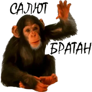 Sticker dVC_lx5f7W - 1