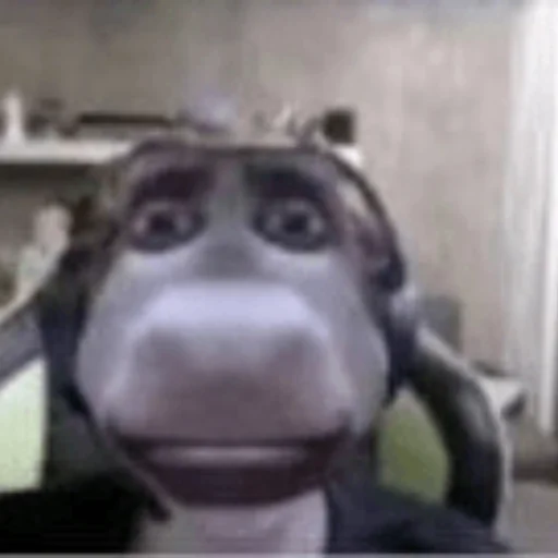 Sticker dyrachyo - 4