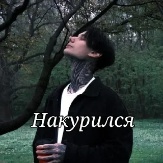 Sticker Димочка🖤🤤😏 - 6