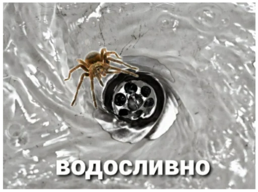 Смерть джентльмена - 