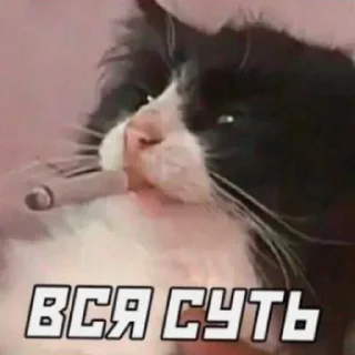 Стикер Старотолсторотор - 6