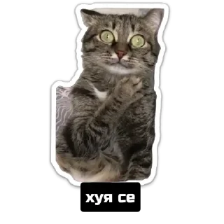 Стикер Старотолсторотор - 10