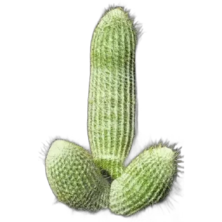 Sticker Grafi_X9 - 6