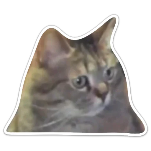 Sticker пак с иконами 2 - 9