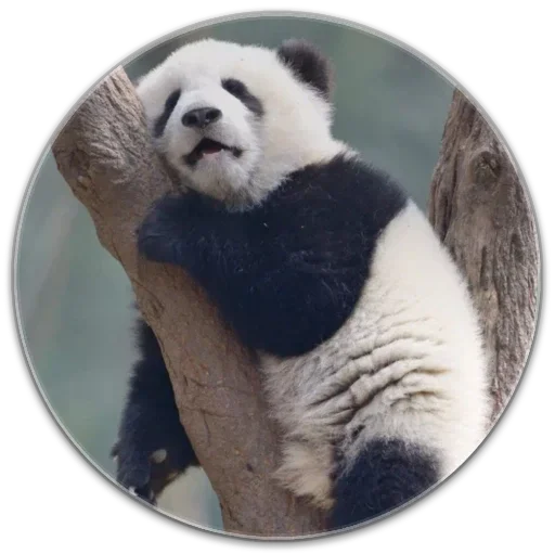 Стикер здравствуйте - 9