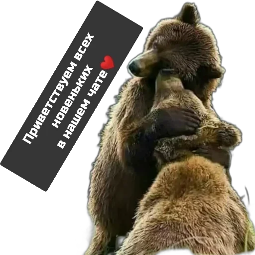 Стикер здравствуйте - 8