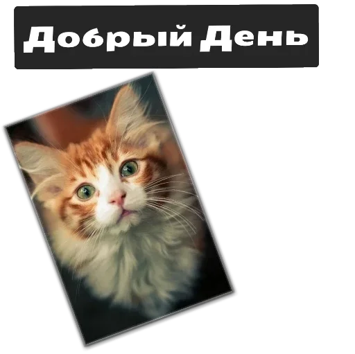 Стикер здравствуйте - 5