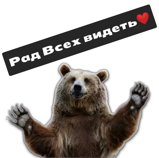 Стикер здравствуйте - 4