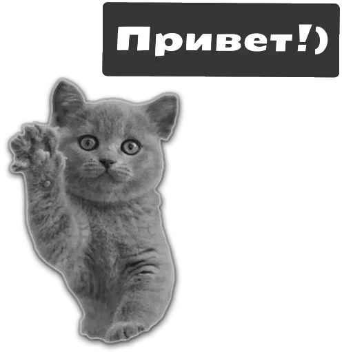 Стикер здравствуйте - 2