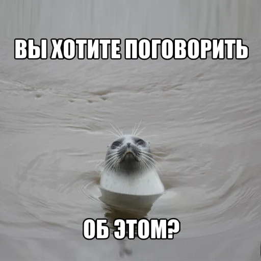 Sticker daSHIK_pack - 1