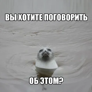 Sticker даШИК - 1