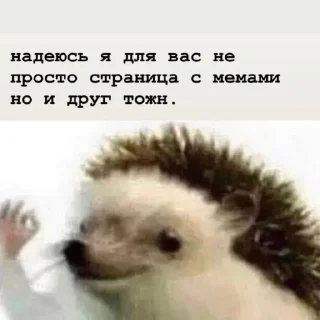 Sticker даШИК - 9