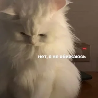 Sticker даШИК - 6