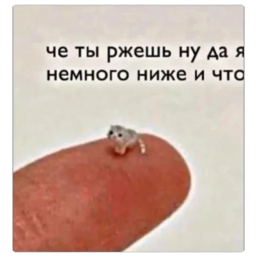 Sticker da_achto2 - 1